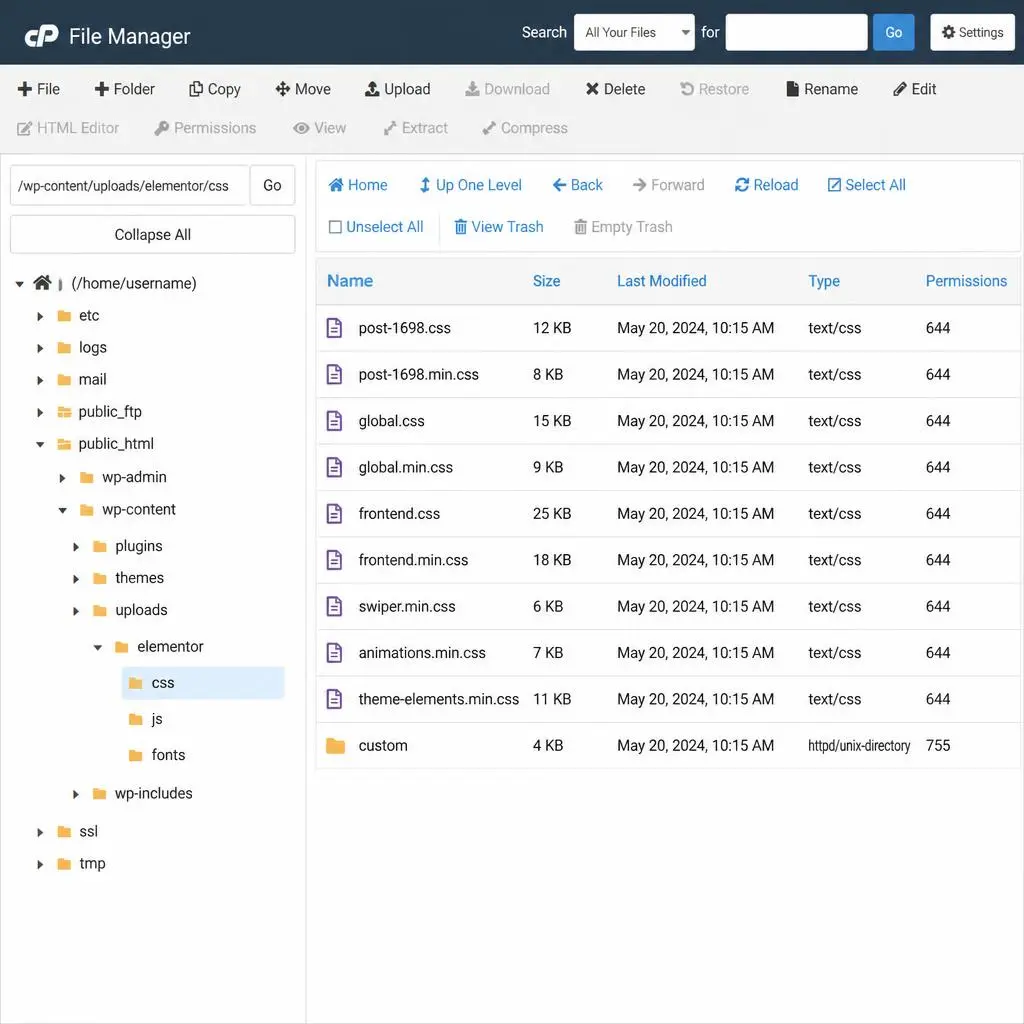  cPanel File Manager showing correct file permissions 755 for Elementor CSS folder
